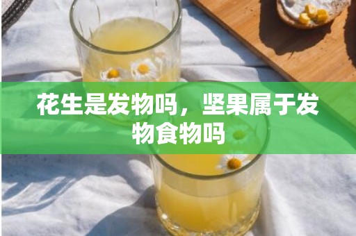 花生是发物吗，坚果属于发物食物吗