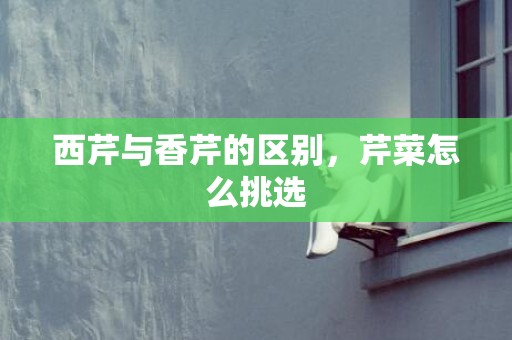 西芹与香芹的区别，芹菜怎么挑选
