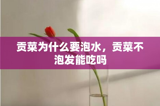 贡菜为什么要泡水，贡菜不泡发能吃吗