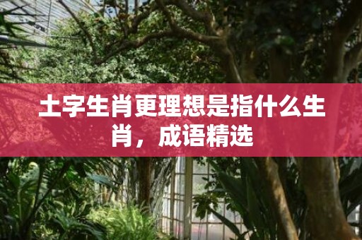 土字生肖更理想是指什么生肖，成语精选