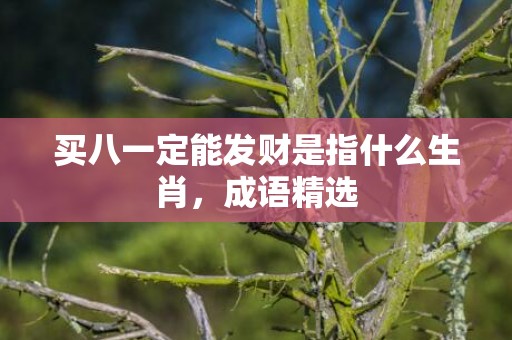 买八一定能发财是指什么生肖，成语精选