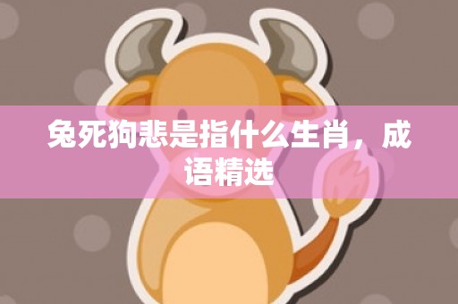 兔死狗悲是指什么生肖，成语精选