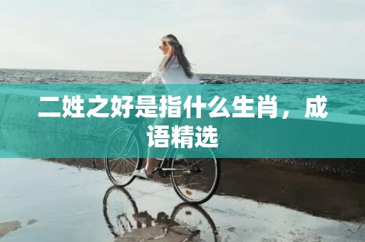 二姓之好是指什么生肖，成语精选