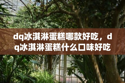 dq冰淇淋蛋糕哪款好吃，dq冰淇淋蛋糕什么口味好吃