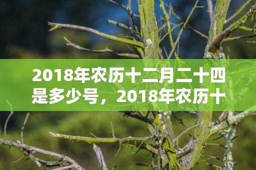 2018年农历十二月二十四是多少号，2018年农历十月十三日出生的女孩起名，女宝宝五行起名