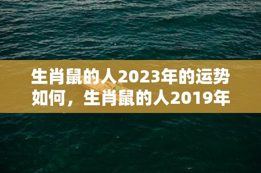 生肖鼠的人2023年的运势如何，生肖鼠的人2019年六月的运势详解