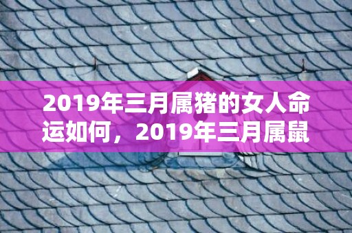 2019年三月属猪的女人命运如何，2019年三月属鼠人的运势盘点