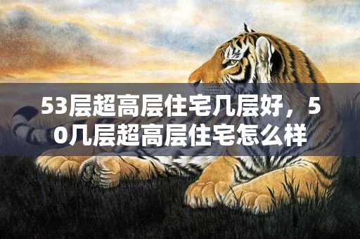 53层超高层住宅几层好，50几层超高层住宅怎么样