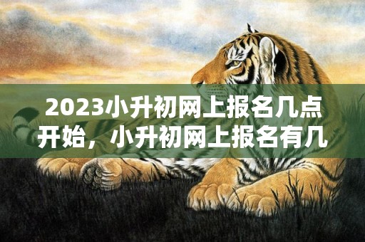 2023小升初网上报名几点开始，小升初网上报名有几天