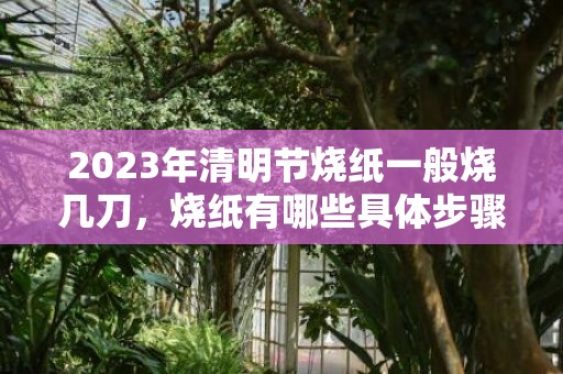 2023年清明节烧纸一般烧几刀，烧纸有哪些具体步骤