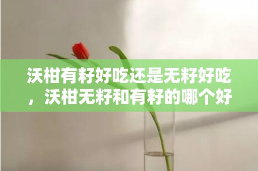 沃柑有籽好吃还是无籽好吃，沃柑无籽和有籽的哪个好吃