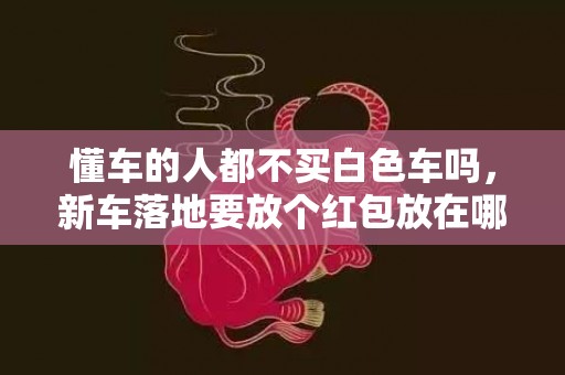 懂车的人都不买白色车吗，新车落地要放个红包放在哪