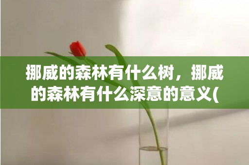 挪威的森林有什么树，挪威的森林有什么深意的意义(挪威的森林背后的寓意)
