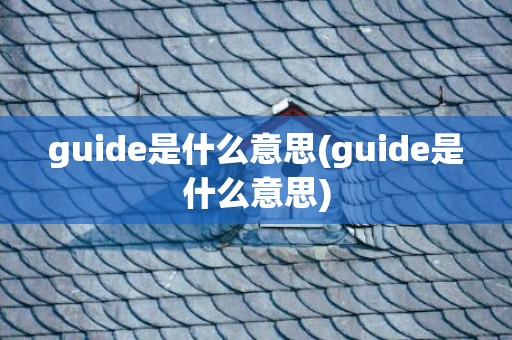 guide是什么意思(guide是什么意思)