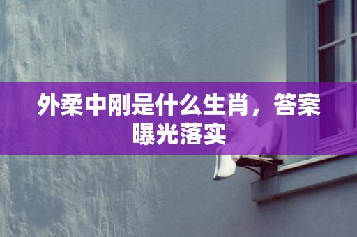 外柔中刚是什么生肖，答案曝光落实