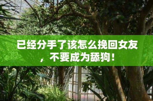 已经分手了该怎么挽回女友，不要成为舔狗！