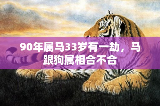 90年属马33岁有一劫，马跟狗属相合不合