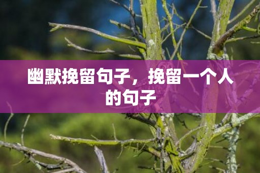 幽默挽留句子，挽留一个人的句子
