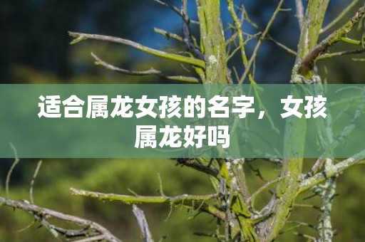 适合属龙女孩的名字，女孩属龙好吗