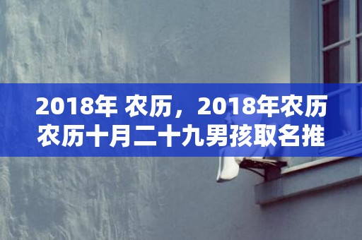 2018年 农历，2018年农历农历十月二十九男孩取名推荐，该日卦象好不好？