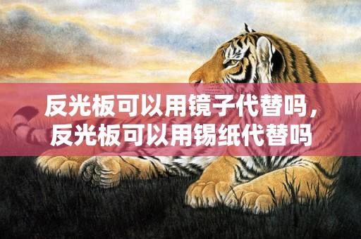 反光板可以用镜子代替吗，反光板可以用锡纸代替吗
