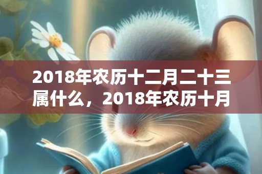2018年农历十二月二十三属什么，2018年农历十月二十九出生的宝宝的起名推荐