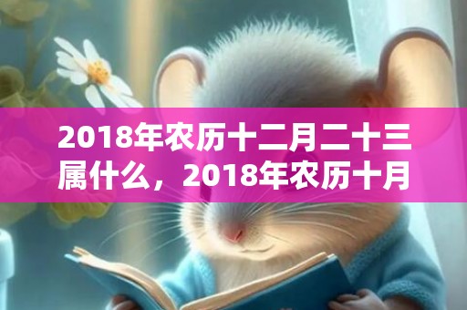 2018年农历十二月二十三属什么，2018年农历十月二十八出生女孩如何起名？该日卦象好吗？