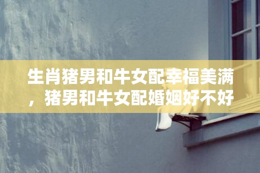 生肖猪男和牛女配幸福美满，猪男和牛女配婚姻好不好