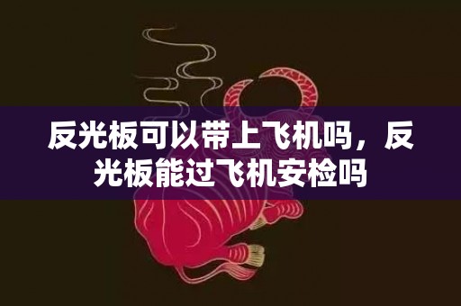 反光板可以带上飞机吗，反光板能过飞机安检吗
