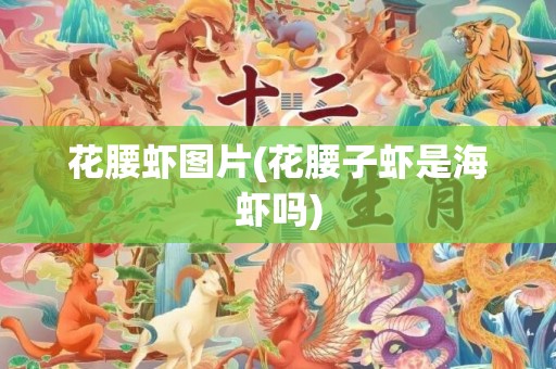花腰虾图片(花腰子虾是海虾吗)
