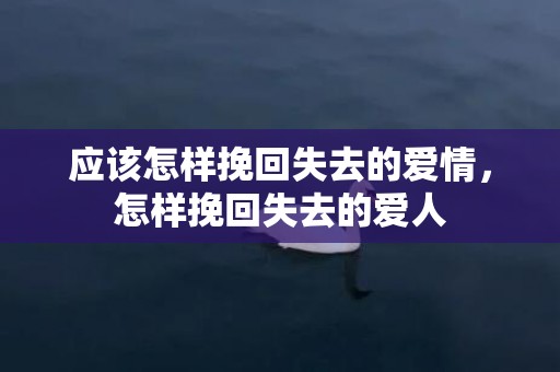 应该怎样挽回失去的爱情，怎样挽回失去的爱人