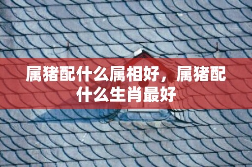 属猪配什么属相好，属猪配什么生肖最好