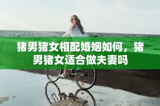 猪男猪女相配婚姻如何，猪男猪女适合做夫妻吗