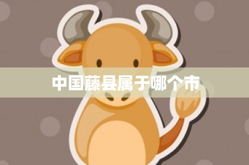 中国藤县属于哪个市