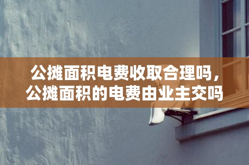 公摊面积电费收取合理吗，公摊面积的电费由业主交吗
