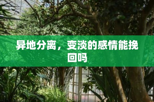 异地分离，变淡的感情能挽回吗