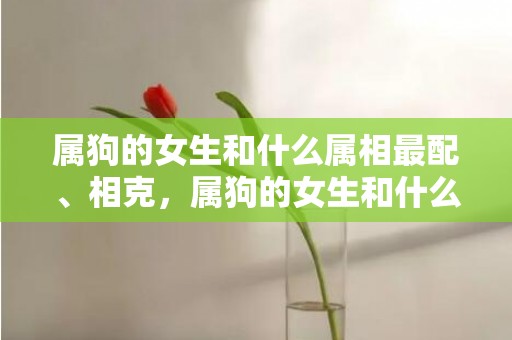 属狗的女生和什么属相最配、相克，属狗的女生和什么属相最配