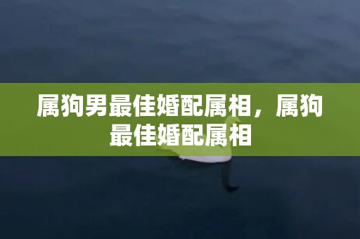 属狗男最佳婚配属相，属狗最佳婚配属相