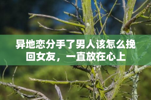 异地恋分手了男人该怎么挽回女友，一直放在心上