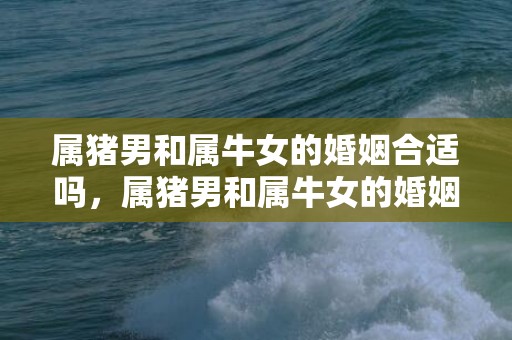 属猪男和属牛女的婚姻合适吗，属猪男和属牛女的婚姻怎么样