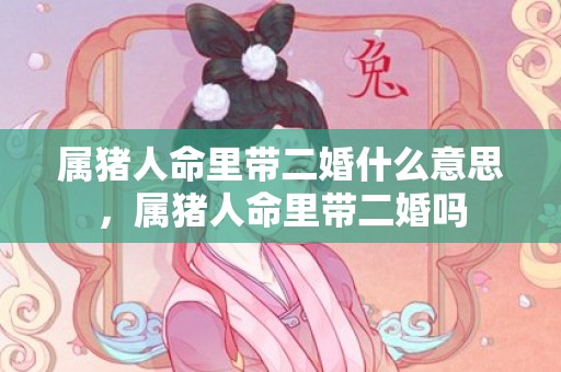 属猪人命里带二婚什么意思，属猪人命里带二婚吗