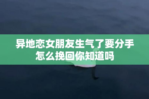 异地恋女朋友生气了要分手怎么挽回你知道吗
