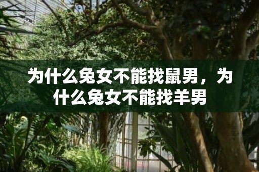 为什么兔女不能找鼠男，为什么兔女不能找羊男