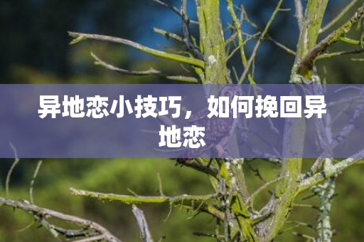 异地恋小技巧，如何挽回异地恋