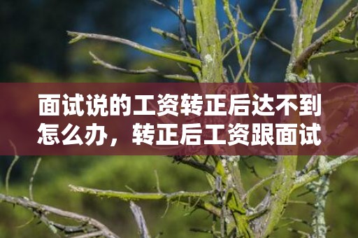 面试说的工资转正后达不到怎么办，转正后工资跟面试谈的不一样该不该妥协