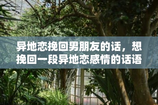异地恋挽回男朋友的话，想挽回一段异地恋感情的话语