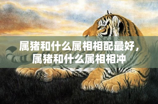 属猪和什么属相相配最好，属猪和什么属相相冲