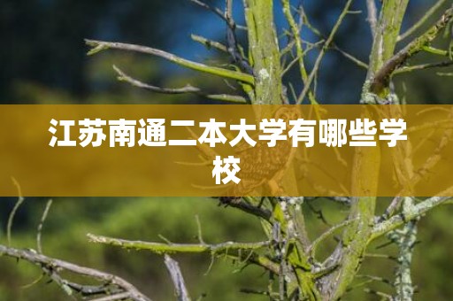 江苏南通二本大学有哪些学校