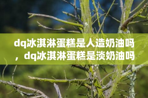 dq冰淇淋蛋糕是人造奶油吗，dq冰淇淋蛋糕是淡奶油吗