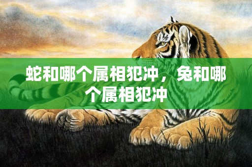 蛇和哪个属相犯冲，兔和哪个属相犯冲